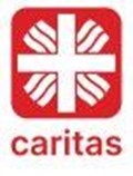 Caritas Logo 100 px hoch