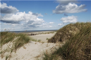 Norderney Naturbild Norderney Naturbild